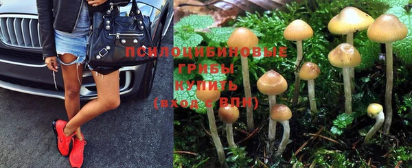 спайс Алексеевка