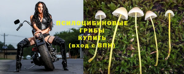 скорость Алзамай